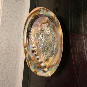 Vintage Beautiful Abalone Shell 6"